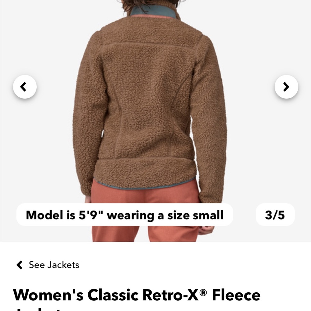 COPY - Patagonia Classic Retro Fleece